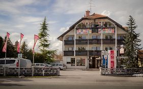 Hotel Krona Domzale